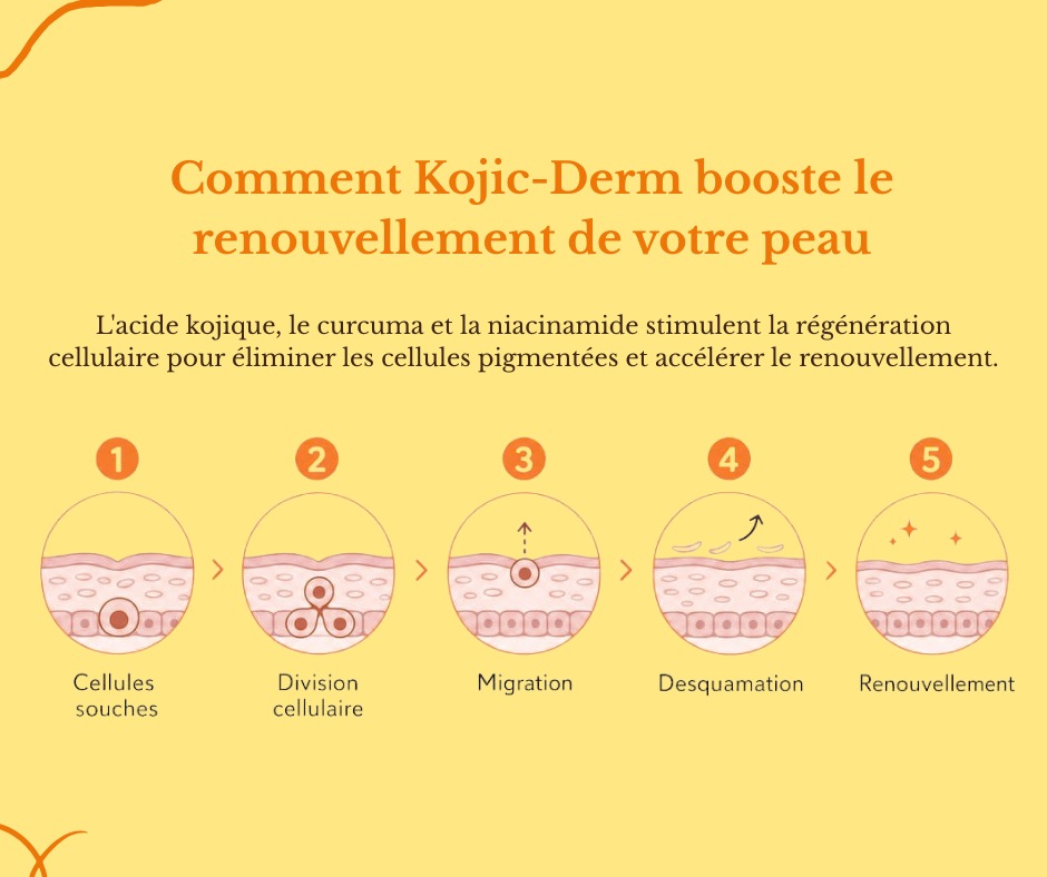 Kojic-Derm - Crème unifiante anti-hyperpigmentation