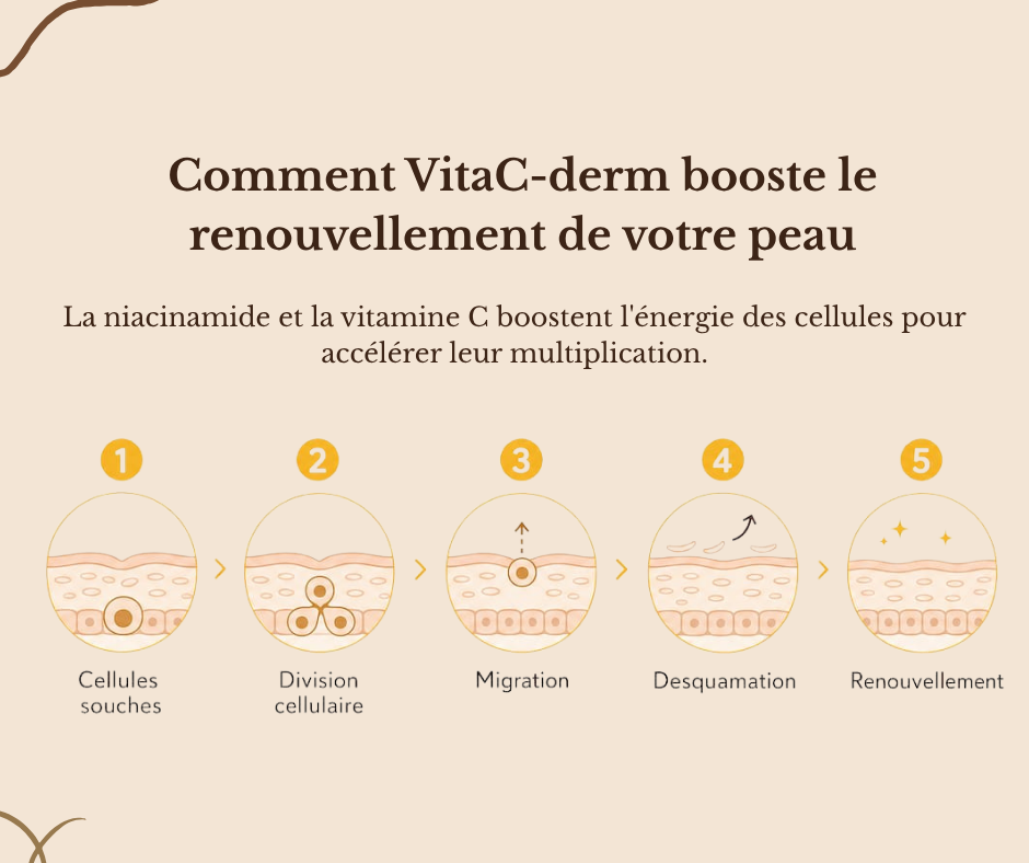 VitaC Derm - Crème anti-taches & éclat