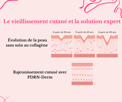 PDRN-Derm – Crème éclat & jeunesse au collagène